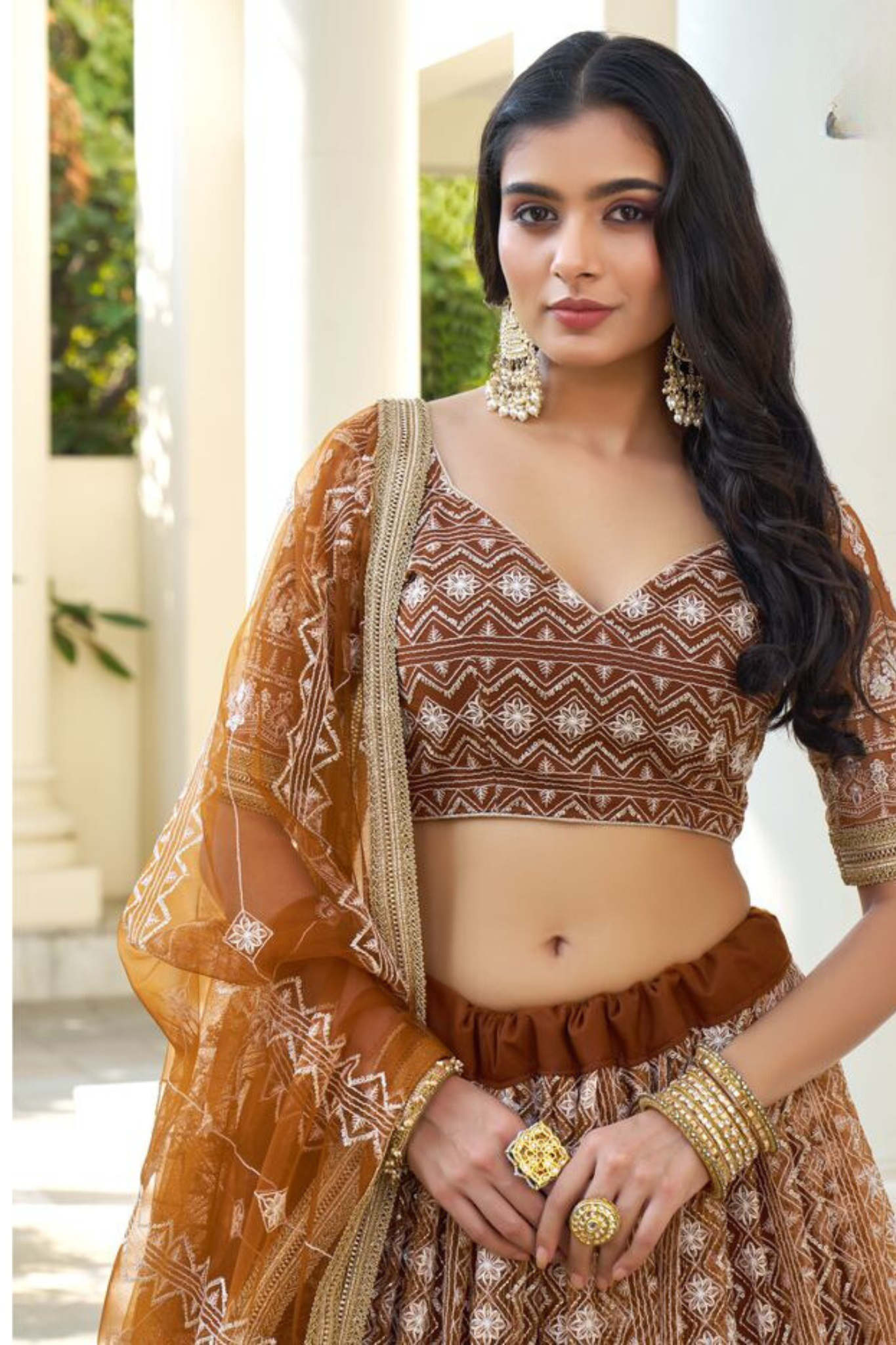 Brown Butterfly Net Embroidered Lehenga Choli